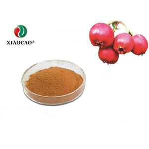 Food Grade Organic Hawthorn Berry Powder Solvent Extraction Nourishing Fluid
