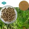 Saw Palmetto Capsule with Nettle Root Extract for Men's Prostate