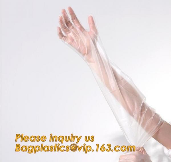 Biodegradable PE gloves Medical PE gloves disposable PE glove,Eco Friendly