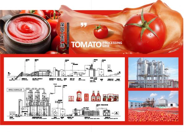 SS304 Small Scale Ketchup Tomato Paste Production Line Customized Size Easy