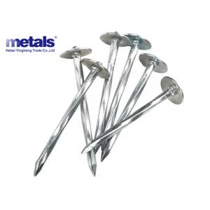 Bulk Clout Electro Galvanized Roofing Nails 5mm-12mm
