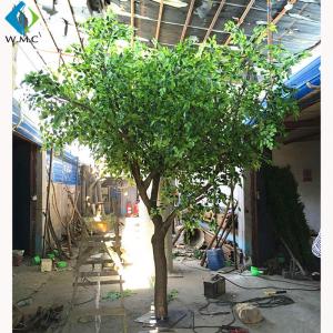 Wood Trunk Decorative Ficus Tree , 2.5m Height Artificial Outdoor Trees
