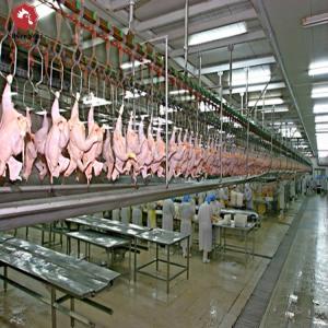 China Halal Poultry Automatic Abattoir Chicken Slaughtering Processing Scalding Plucking Machine supplier