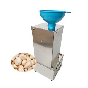 Large Capacity Small Model Machine Garlic Peeler And Brush With Low Price