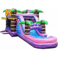 Giant children adult 4.5x8m Inflatable Bouncer Combo With Air Pump
