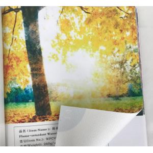 Glossy Coated Blank Painting Canvas , Blank White Canvas For Painting