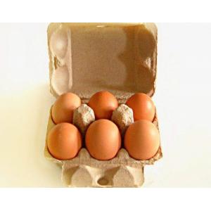Populares personalizados 6 furos egg a linha de produção máquina da bandeja do ovo da caixa da caixa de ovo
