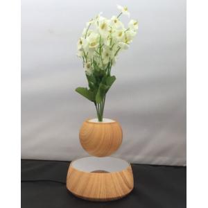 China 360 rotating wooden  magnetic floating levitate air bonsai tree for decor gift supplier