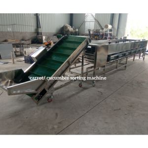 China Carrot Sorting Machine, Carrot Grading Machine, Carrot Grader Sorter wholesale