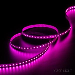 15M RGB LED Strip 48V RGBW Led Strip Lights Color Changing Tape Light