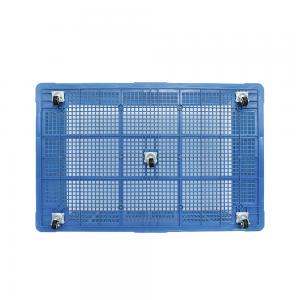 China Foldable Chicken Egg Tray 60 Eggs Plastic Chicken Transport Crate Free Samples Durable supplier