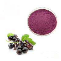 China Concentrated Juice Black Currant 10% Anthocyanin Extract Powder on sale
