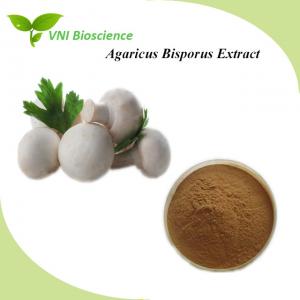 Natural Medicinal Mushroom Powder Anti Cancer Agaricus Bisporus Powder