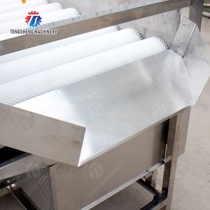 China Potatoes and round tuber crops Carrots and longitudinal root vegetables Onions Ginger Carrot Taro Sweet potato Yam Potato Saiko persimmon Parallel Brush Machine Wash Washer Washing Cleaning wholesale