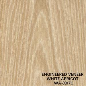 China Natural Apricot X07C Crown Cut Man Made Wood Veneer For Face Veneer Of Door / Cabinet supplier