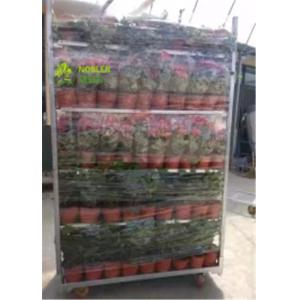 China Flower And Plant Dutch Flower Trolley Metal Pool Rack For Greenhouse Cc Container supplier