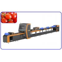 Size Breakage Automatic Sorting Machine High Speed 2 Channel For Cherry Tomato