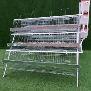 128 Birds Capacity Automatic Chicken Layer Cage Hens Poultry