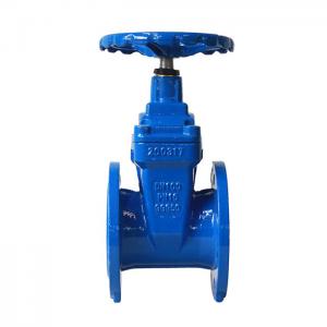 Flange Type Soft Seated Water Gate Valves Rubber Wedge Gate Valve