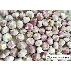 China Healthy Fresh Organic Garlic , Natural Garlic Liliaceous Vegetable Type supplier