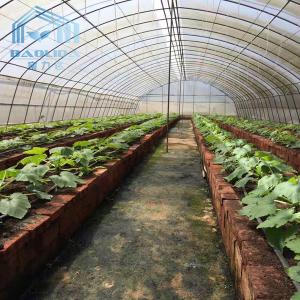 Galvanized Steel Tunnel Plastic Film Greenhouseouse with Shading Net