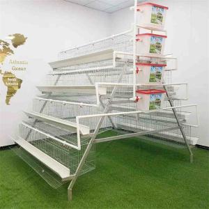 China 128 Birds Automatic Water Layer Chicken Cage In Animal Breeding Farms supplier