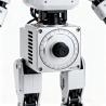 Precision Waist Rotation Servo Seat for Humanoid Robots Custom CNC Machining China