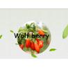 Frutos secos: Grão da baga de Goji 280 (wolfberry), 350grain e 550Grain