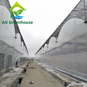China ODM Transparent Polycarbonate Plastic Film Greenhouse Side Top Ventilation Greenhouse supplier
