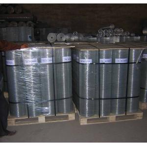 China low price welded wire mesh/ galvanized welded wire mesh/ PVC coated wire mesh fence supplier supplier