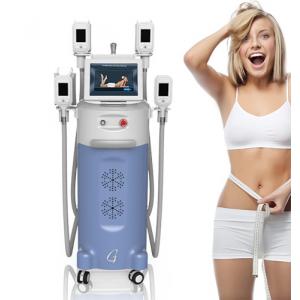 China 4-5cm fat lost after 1 treatment Cryotherapy slimming machine with 12 inch LCD screen supplier
