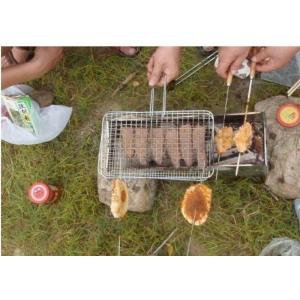 China Portable Barbecue Grill Wire Mesh , Outdoor Barbecue Grill Netting For Roast Fish supplier