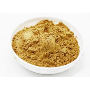 Health Broccoli Sprout Extract Powder , Broccoli Sprout Powder 1 - 6% Sulforaphan