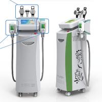 China multifunctional cryolipolysis machine freezing fat machine / cryotherapy device medical CE on sale