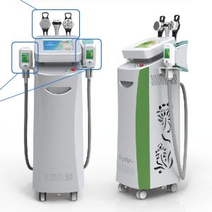 Weight losing machine freezing fat machine cryo cryolipolysis belly abdomen leg fat remova