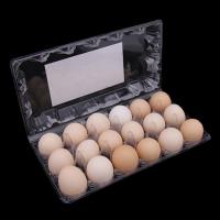 3X6 Disposable Plastic Egg Tray 18 Holes Plastic Egg Packing Container