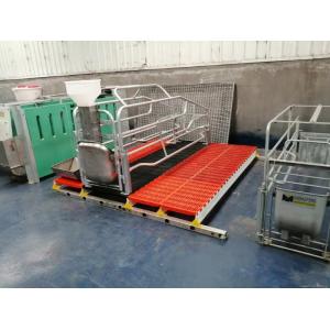 Steel Pig Farrowing Crate