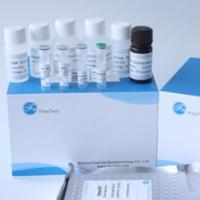 China Macrophage Colony Stimulating Factor M-CSF ELISA Kit FDA Approved on sale