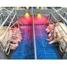 China High Strength Easy To Clean And Maintain GRP Floor Grating FRP Molded Pig Chicken Sheep Floor Grating wholesale