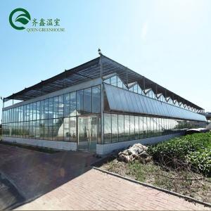 China Multi-Span Agricultural Greenhouses Top Covering with Tempered Glass or PC Sheet supplier