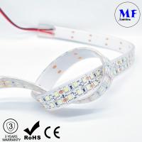 China DC12V 24V LED 2835 Strip Light RGB RGBW IP20 IP65 IP68 Waterproof With CCT Dimming Control For Indoor Outdoor Lighting on sale