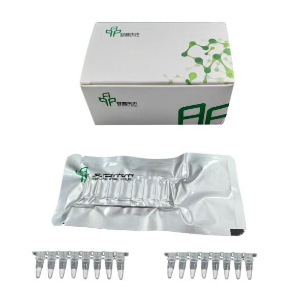 Multiplex DNA Amplification Kit One Step Processing