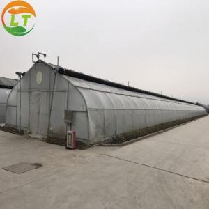 Film Covered Mushroom Cultured Greenhouse for Mushroom Cultivation and Easy Assembly