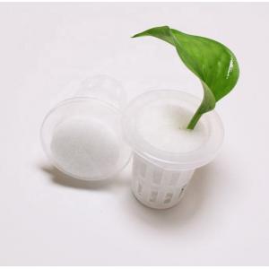 China Small Size Injection Molded Plastic PP Net Pots for Hydroponic Greenhouse Cultivation supplier