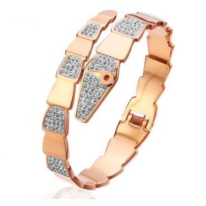 China Trendy Fashion Snake Rose Gold Bangle for Girl Gemstone and Crystal Bangle Cuff Metal Bangle supplier