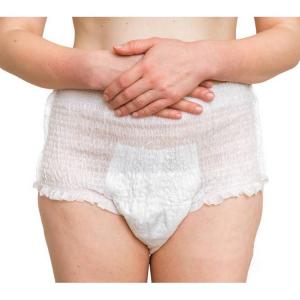 China Disposable Ultra Plus Size Women's Sexy Underwear Panty Diaper with Medical Absorbency supplier