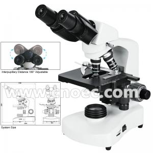 China Halogen Lamp Compound Optical Microscope For High School A12.1005 supplier