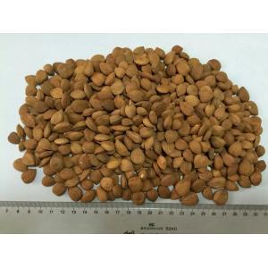 Nuts&の穀粒:杏子穀粒を&Debitterizing苦い杏子穀粒
