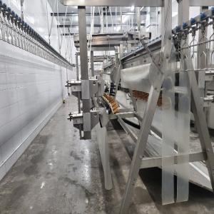 Poultry Automatic Slaughtering Machine 500-1000 BPH Chicken Slaughtering Line