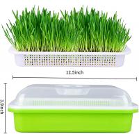 China Light Transmitting Seed Sprout Tray Seed Germination Box Flexible on sale
